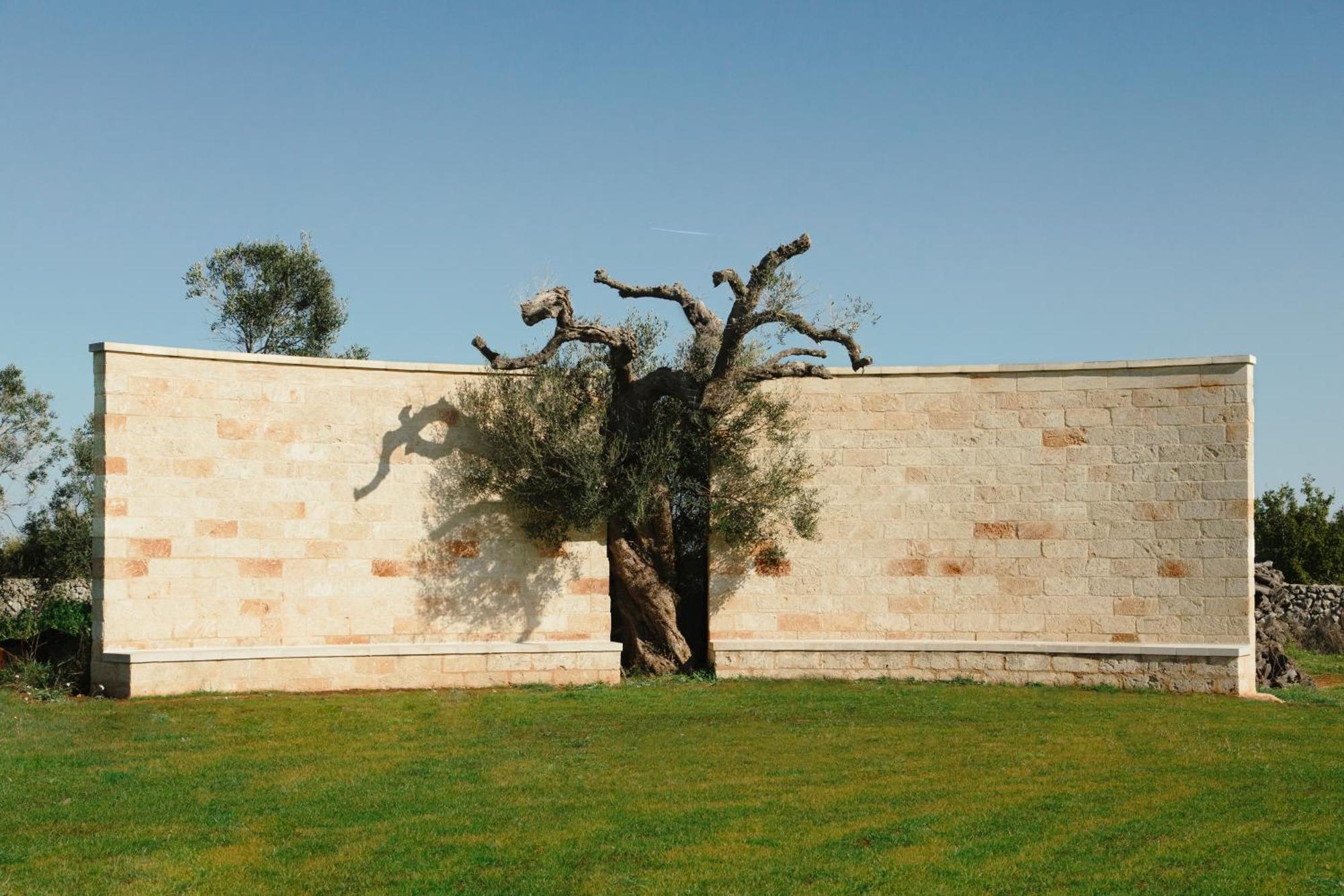 Secolario Masseria Del Viverbene Palmariggi ภายนอก รูปภาพ