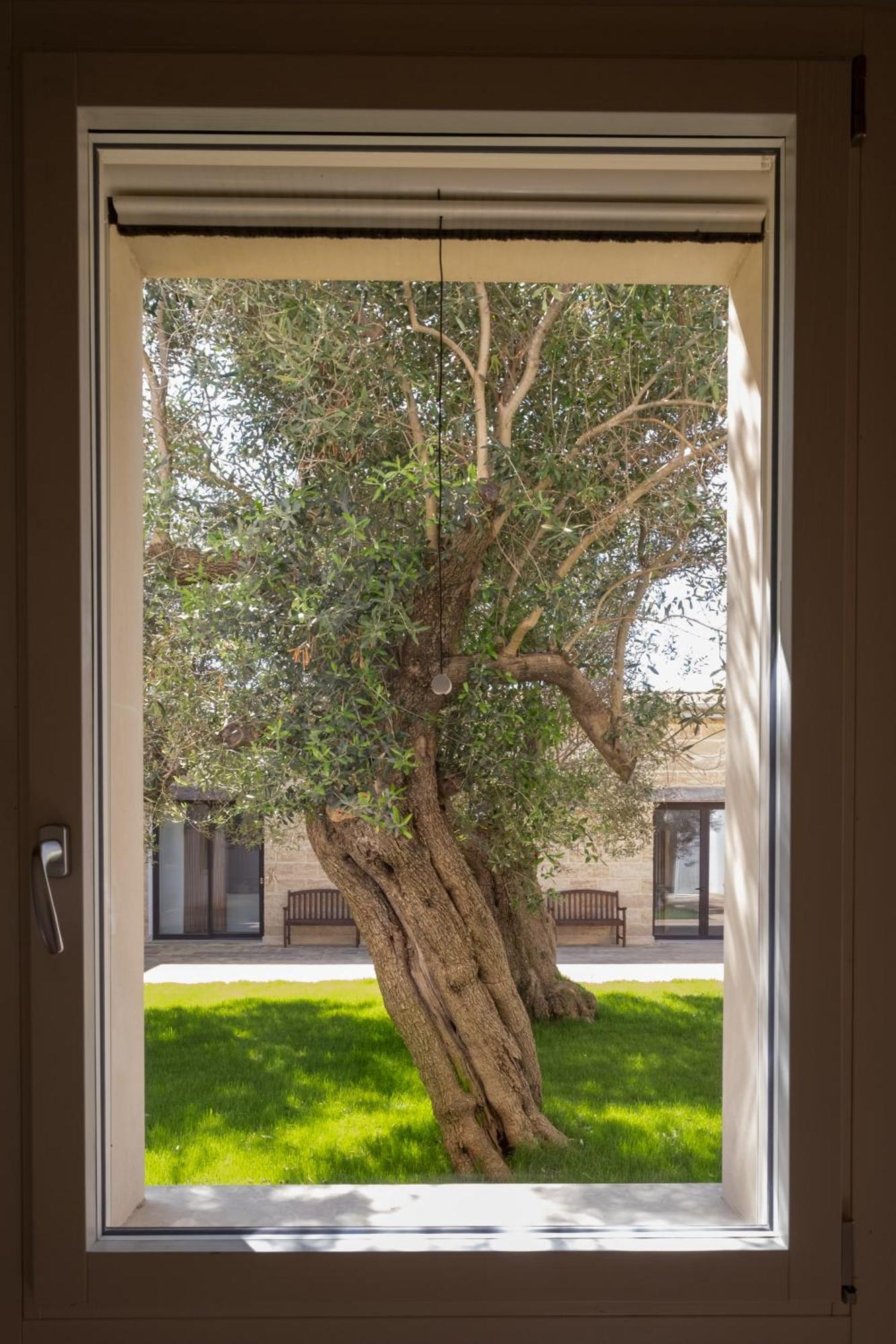 Secolario Masseria Del Viverbene Palmariggi ภายนอก รูปภาพ