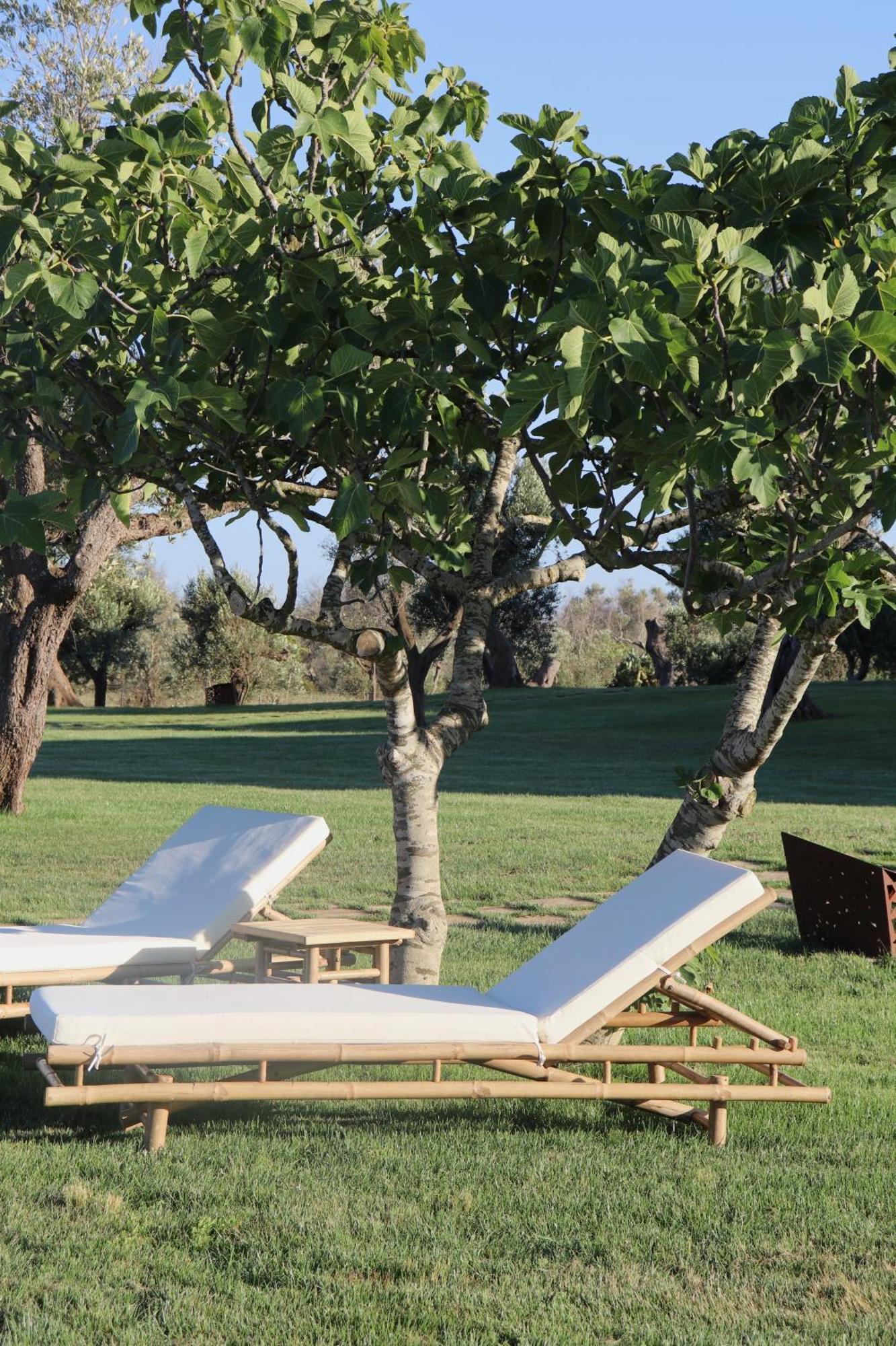 Secolario Masseria Del Viverbene Palmariggi ภายนอก รูปภาพ