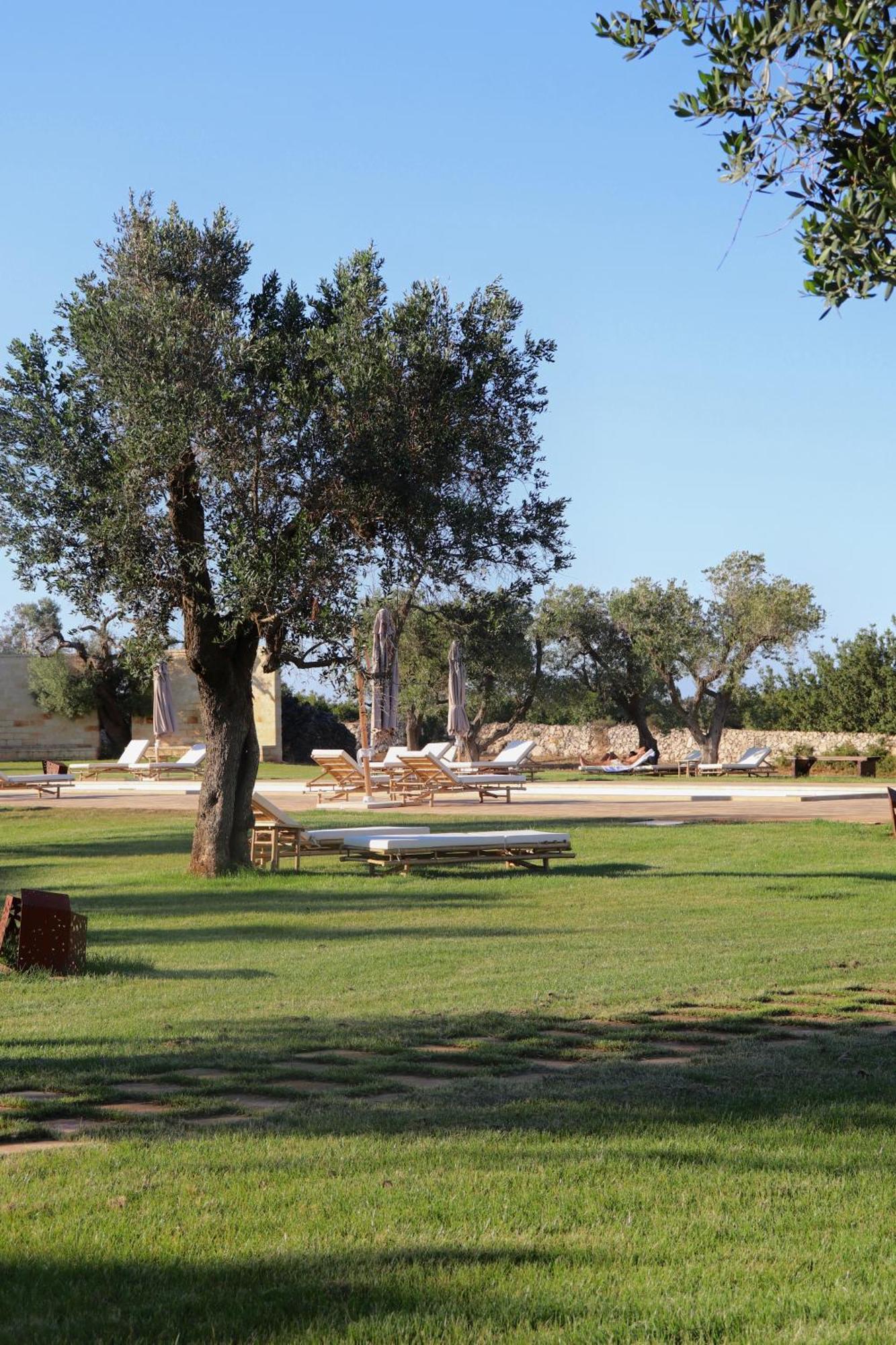 Secolario Masseria Del Viverbene Palmariggi ภายนอก รูปภาพ